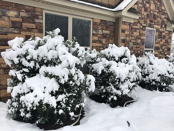 Lots of snow!