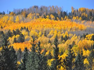 26 County Road 1332 38 N, Greer, AZ 85927