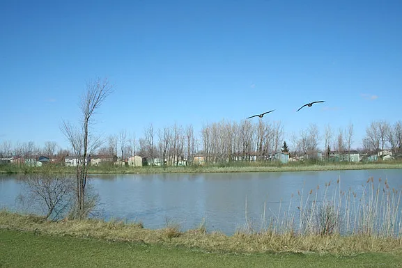 View of Lake