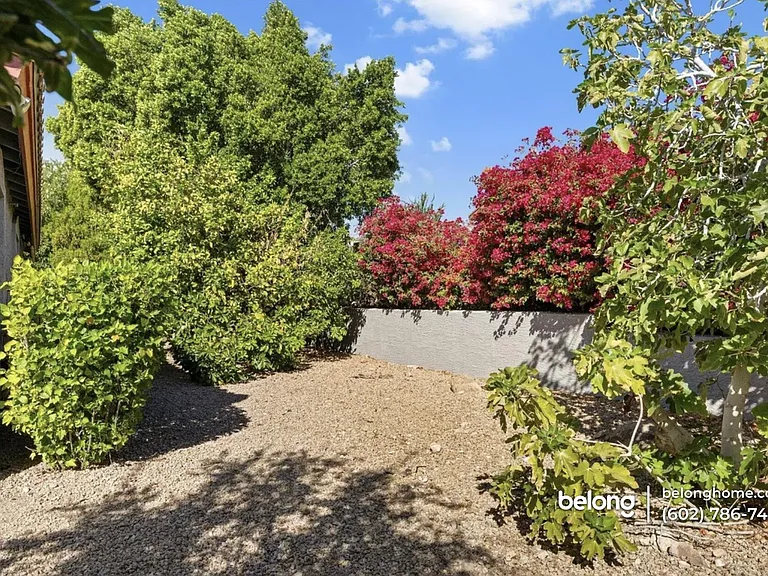 15510 E Sycamore Dr — Photo 4
