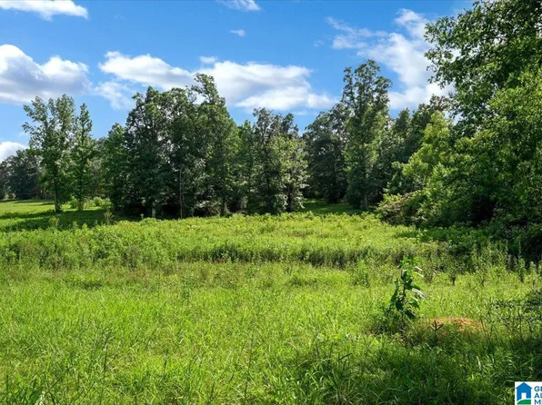 0 County Road 783 #Na, Cullman, AL 35055