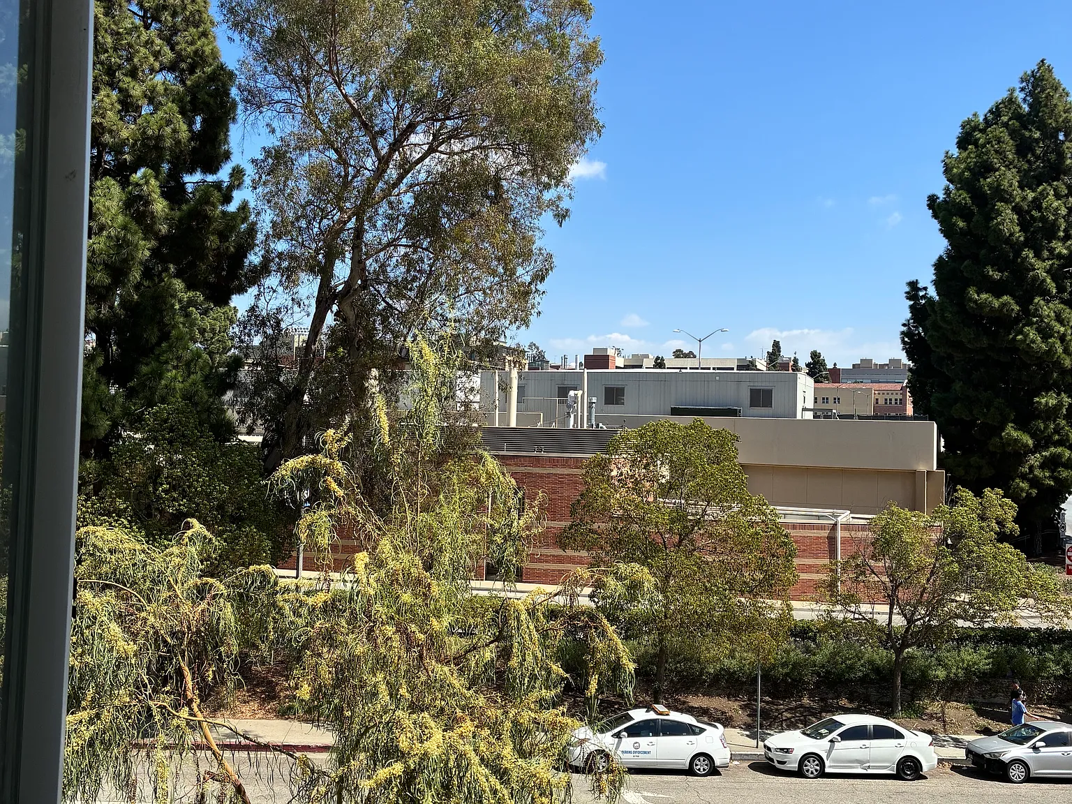 Studio, 220 sqft, $1,500 — Photo 4