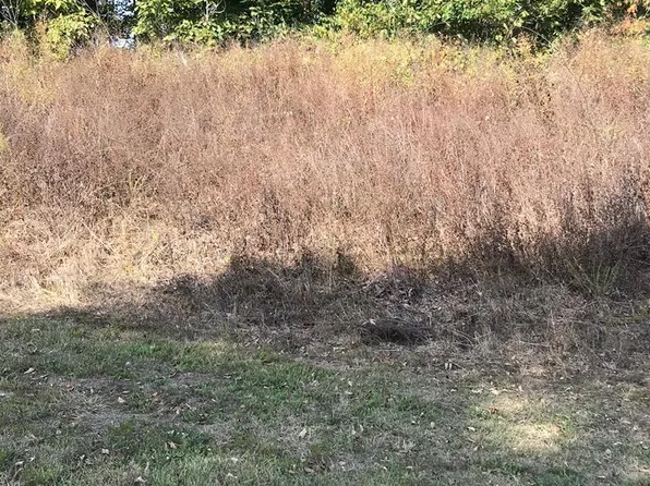 LOT 12 Chestnutwood Dr, Chilhowie, VA 24319