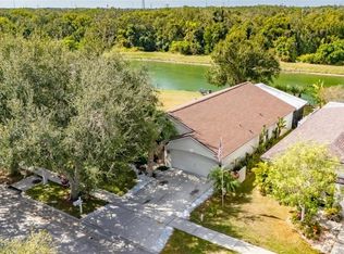 10026 Creek Bluff Dr, Riverview, FL 33578