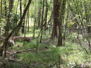 Unnamed Rd, Pineland, TX 75968