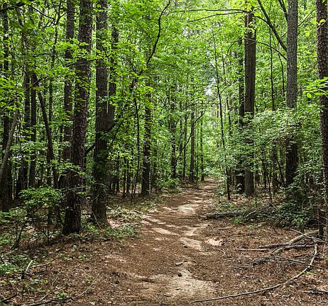2nd image of 0 Padgett Rd