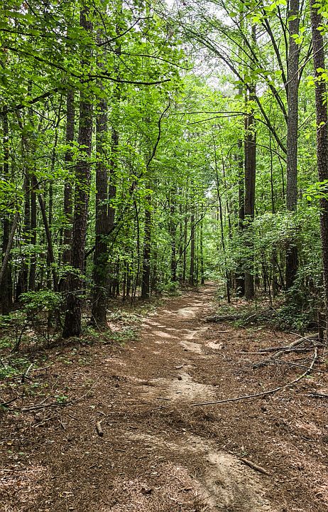 1st image of Padgett Rd #428