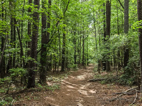 Padgett Rd #428, Senoia, GA 30276