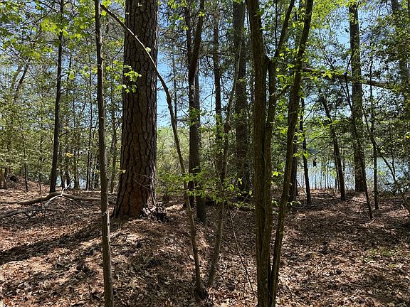 5th image of LOT 5 Laurel Point Rd
