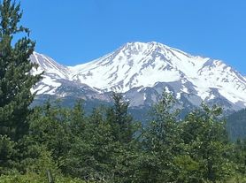 , Mount Shasta, CA