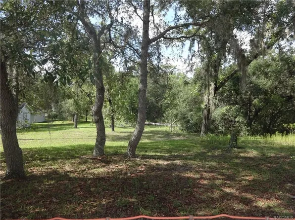 1150 E Cleveland St, Hernando, FL 34442