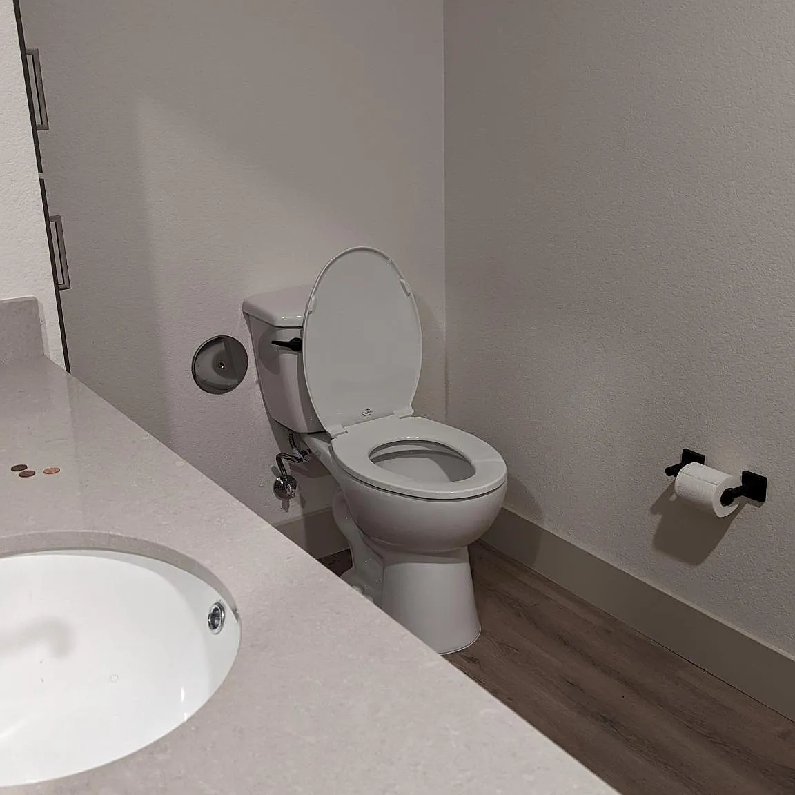2 bed, 1046 sqft, $1,300 — Photo 2