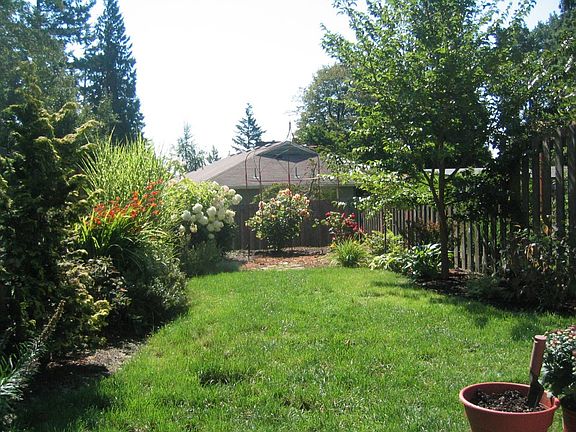 yard view 4