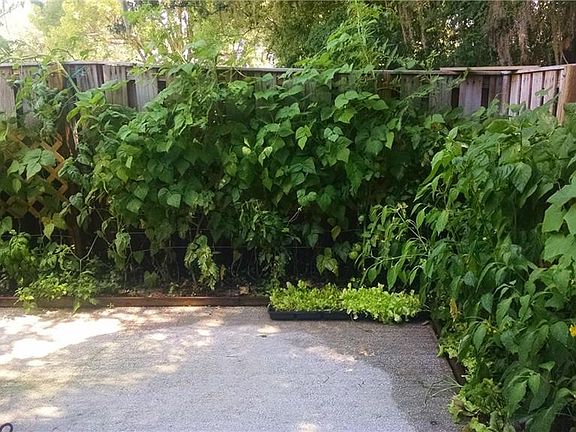 4th image of 2900 Ash Dr
