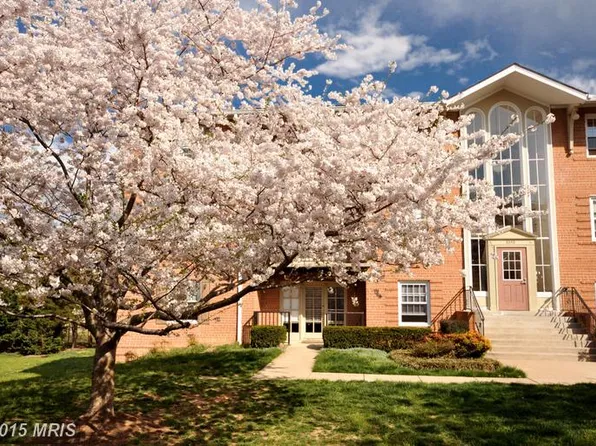 3334 Spring Ln APT B32, Falls Church, VA 22041