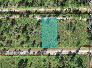 706 TROPICANA DRIVE LOT 3, INDIAN LAKE ESTATES, FL 33855