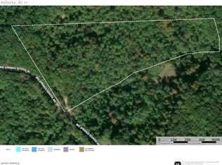 9998 Big Springs School Rd, Irvine, KY 40336