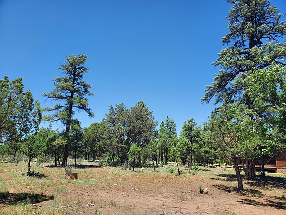 4th image of 5810 Tamarron Dr