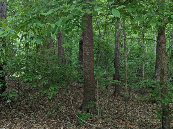 R-25 Independent Hill Lane, North Augusta, SC 29860