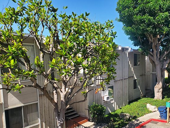 5th image of 6708 Los Verdes Dr #2