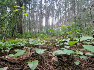 LOT 22 Twin Ln, Redgranite, WI 54970