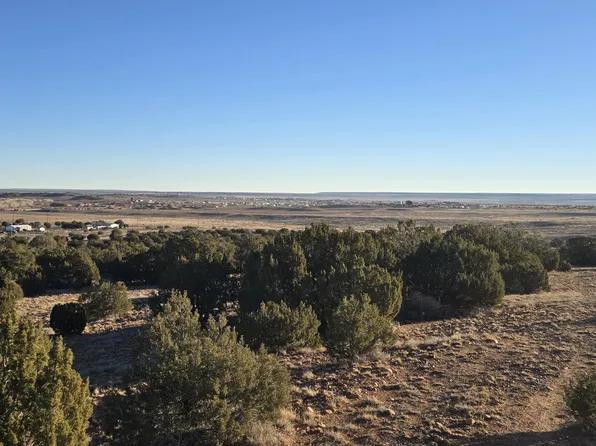 0 Arena Estates -- #-, Taylor, AZ 85939