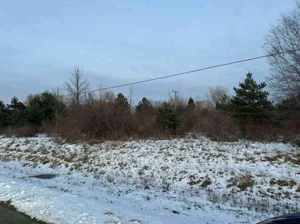 Bellaire Drive Lots 161 #162-163, Harbor Beach, MI 48441