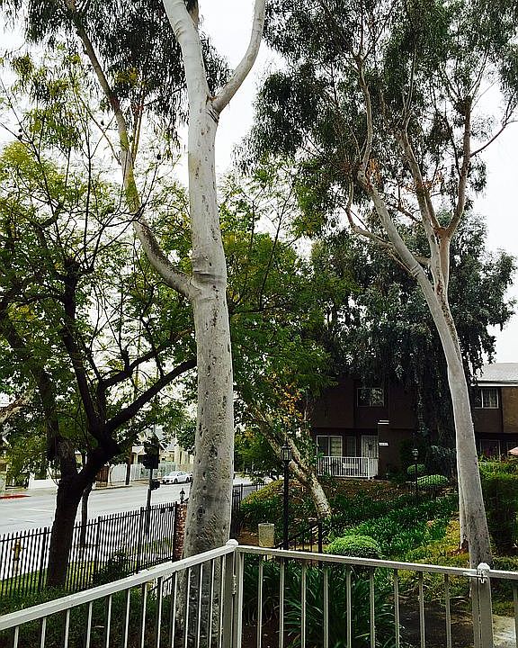 1st image of 1583 W Jefferson Blvd