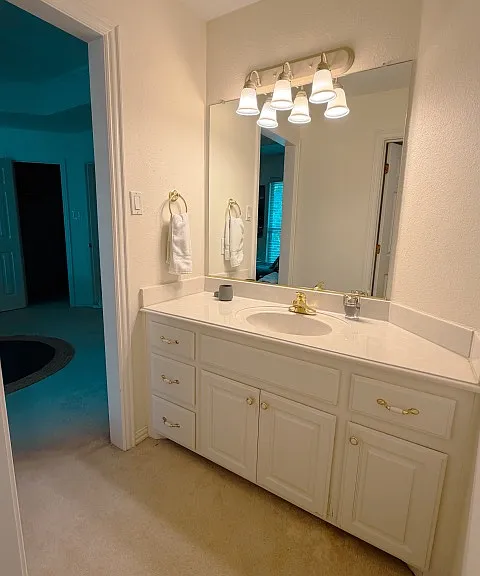 801 Timber Lake Cir — Photo 25