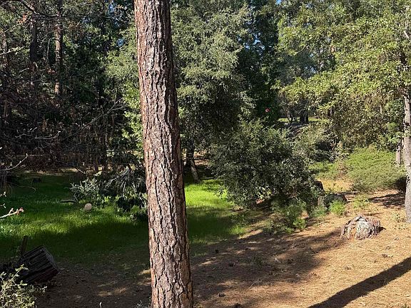 4th image of (Undisclosed Address)