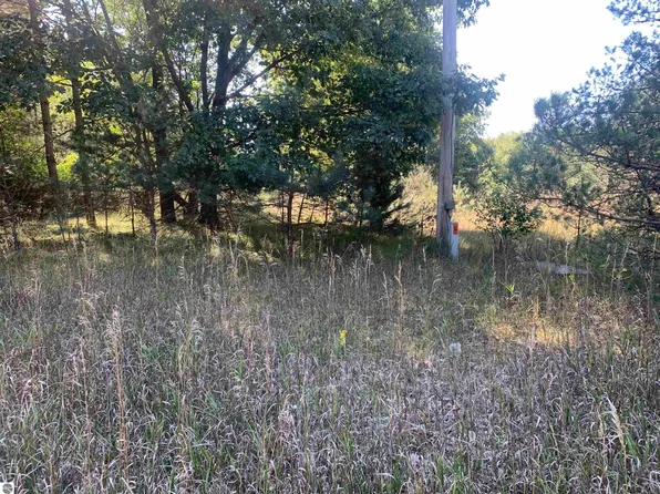 7710 W Drew Rd Lot 319, Weidman, MI 48893
