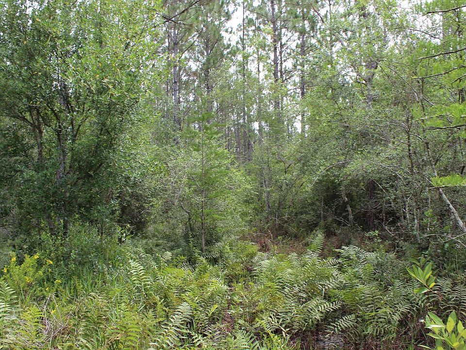 1st image of Kala Cir