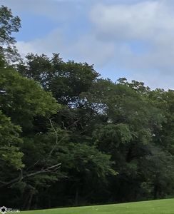 1988 E County Road 2900, Dallas City, IL, 62330