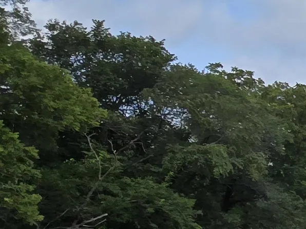 1988 E County Road 2900, Dallas City, IL 62330