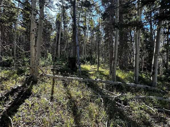 Lot 2652 Petito Drive LOT 2652, Fort Garland, CO 81133