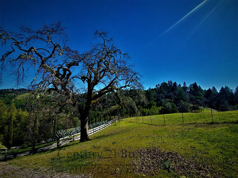 4800 Muniz Ranch Rd — Photo 13