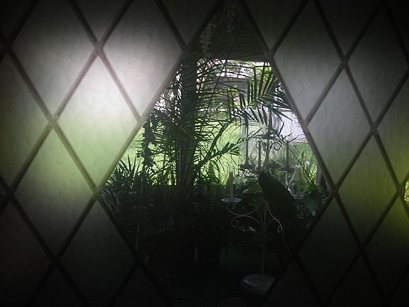 THE VIEW INTO MY SECRET GARDEN