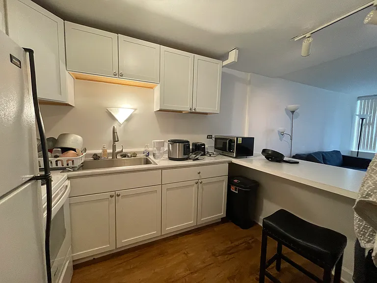 233 E Erie St #2309 — Photo 9