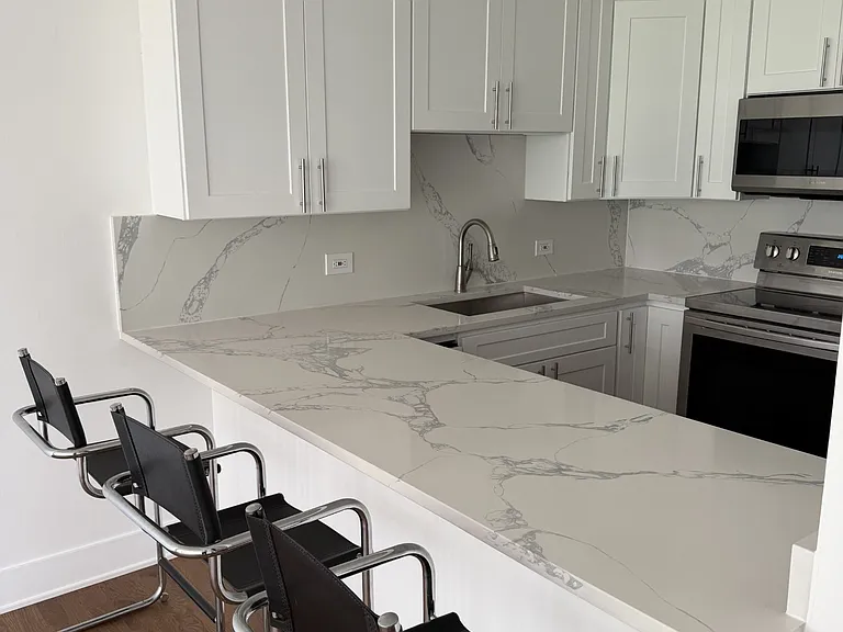 1540 N Lasalle St #403 — Photo 10
