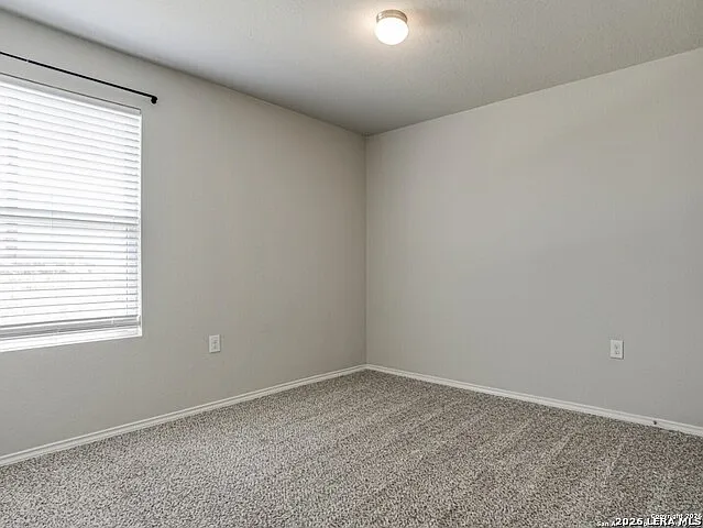 6903 Cozy Run — Photo 16