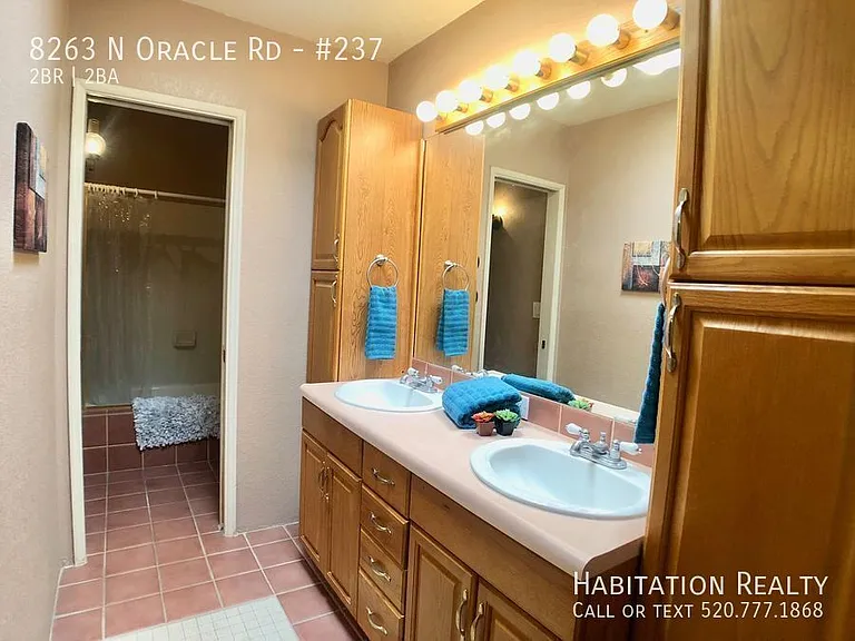 8263 N Oracle Rd #237 — Photo 8