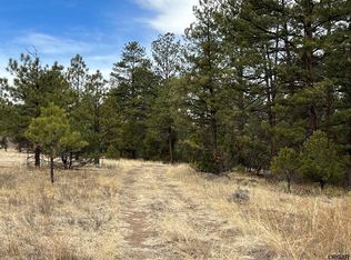 1563 19th Trl, Cotopaxi, CO 81223