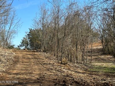 0 Dandelion Dr, Newport, TN, 37821