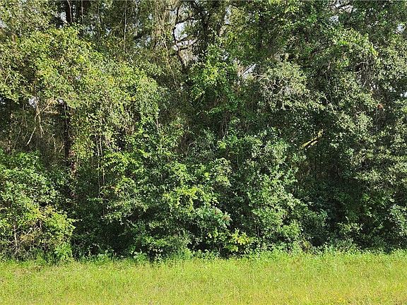 2nd image of 634 E Citrus Springs Blvd