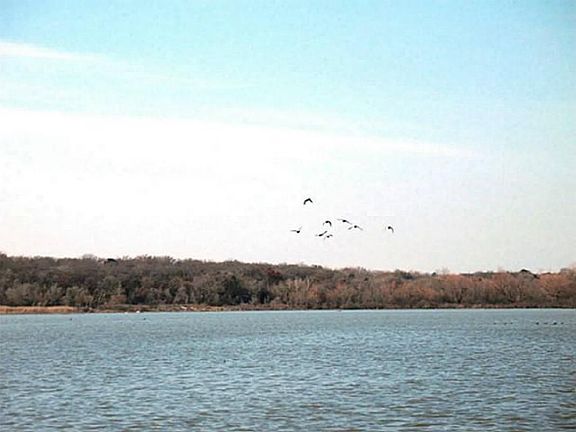 2nd image of 818 Driftwood Dr