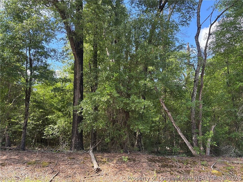 2nd image of Johnson Rd