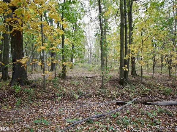 0 Dunn Rd, Memphis, MI 48041