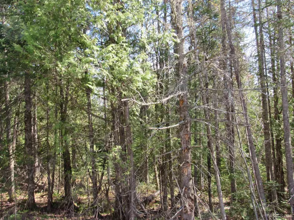Rice Lake Road Just West Of #31959, Lake Linden, MI 49945