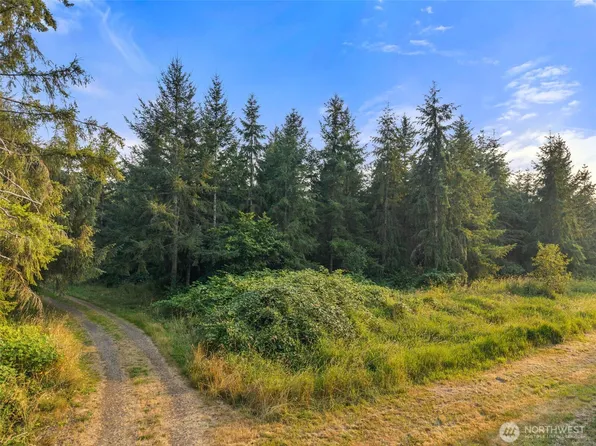 1 Parcel Aslpach Road, Onalaska, WA 98570