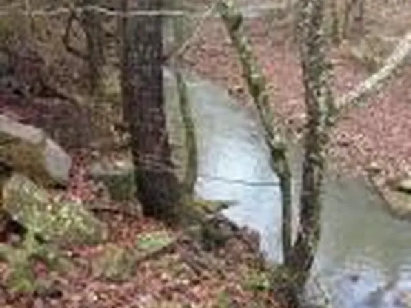 (undisclosed Address), Clarksville, AR 72830